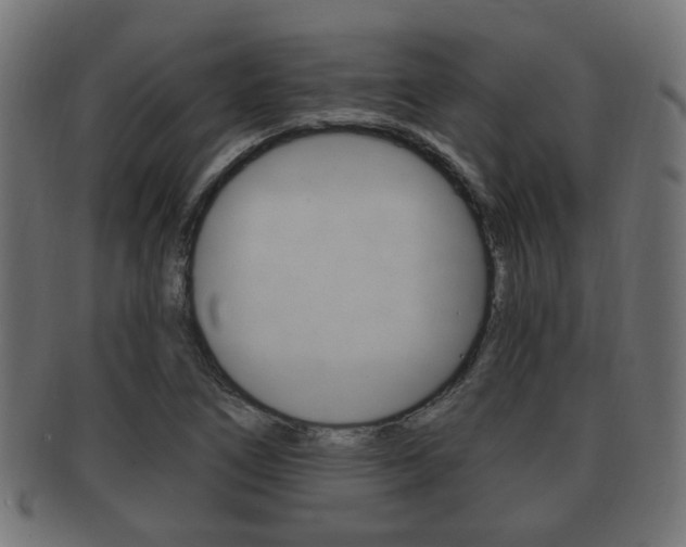 X0000091991266200709061213