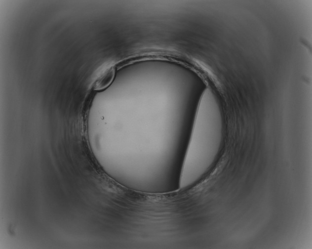 X0000091991267200709061213