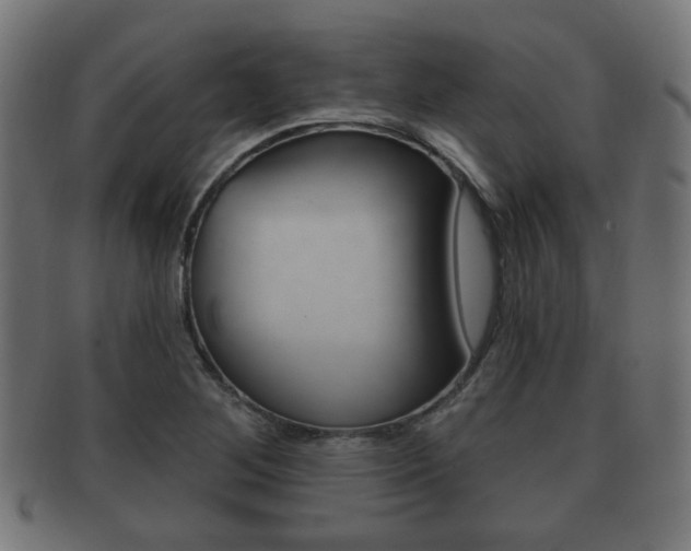 X0000091991268200709061213