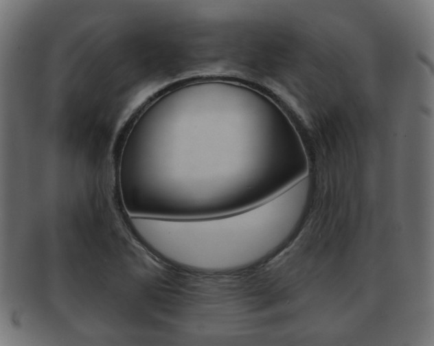 X0000091991270200709061213