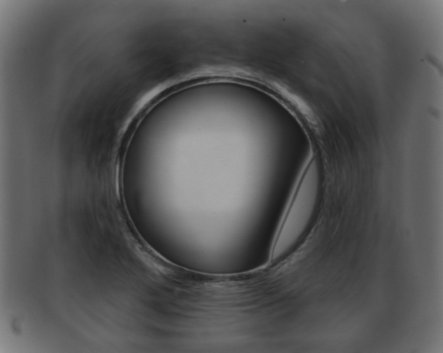 X0000091991272200709061213