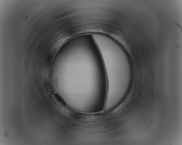 X0000091991273200709061213