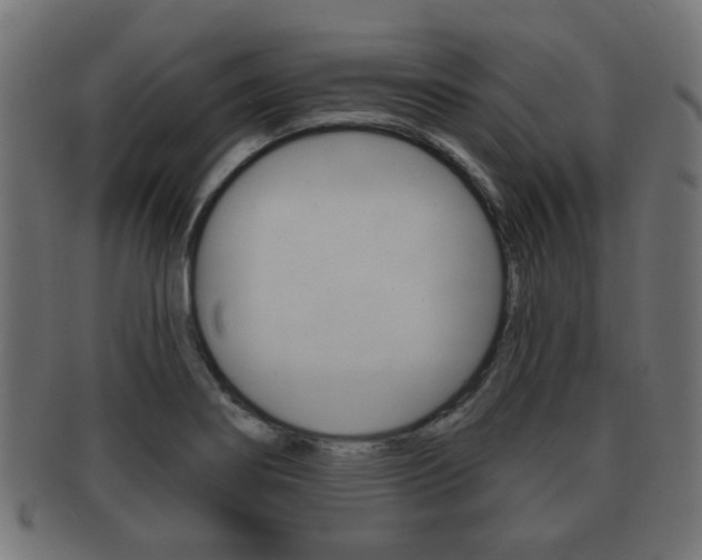 X0000091991274200709061213