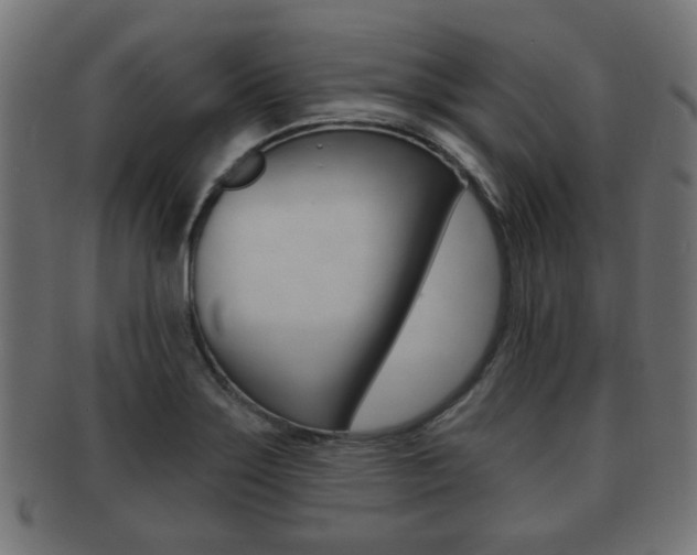 X0000091991275200709061213