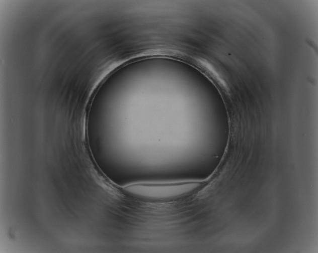 X0000091991276200709061213