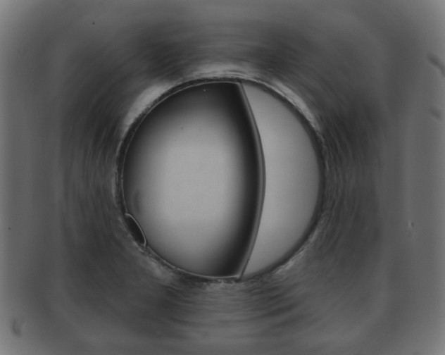 X0000091991277200709061213