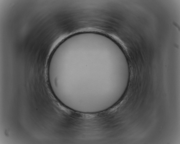 X0000091991278200709061213
