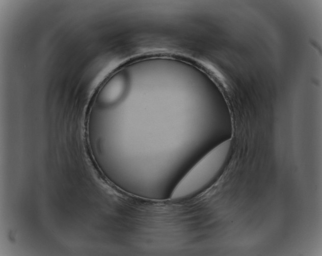 X0000091991279200709061213