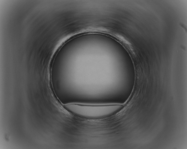 X0000091991280200709061213