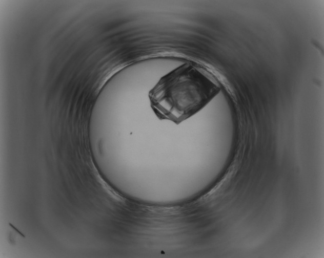 X0000091991281200709061213