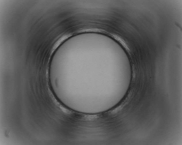 X0000091991282200709061213
