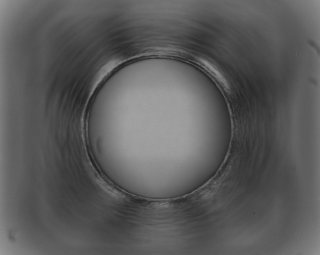X0000091991283200709061213