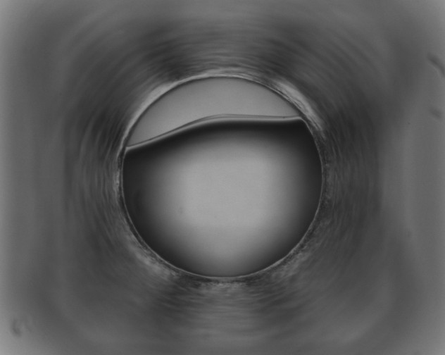 X0000091991284200709061213