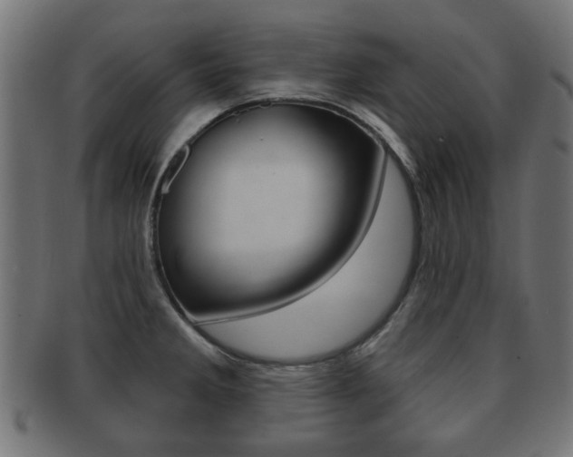X0000091991285200709061213