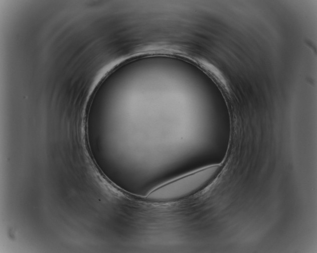 X0000091991288200709061213