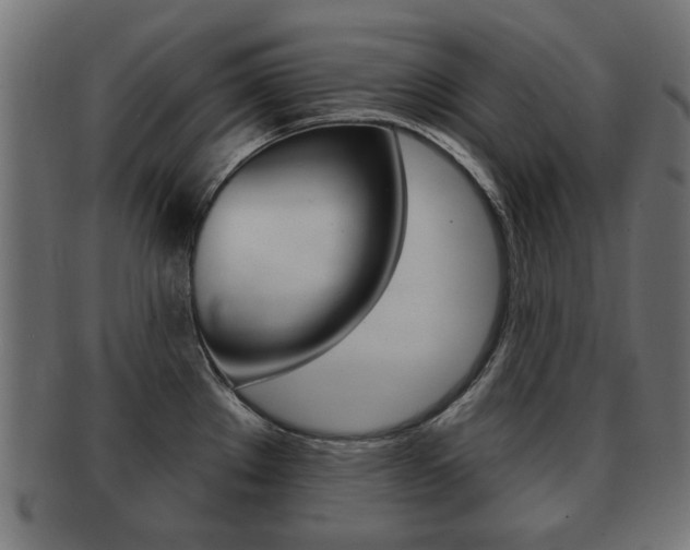 X0000091991289200709061213