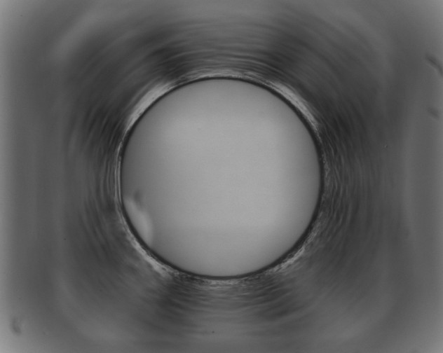 X0000091991290200709061213
