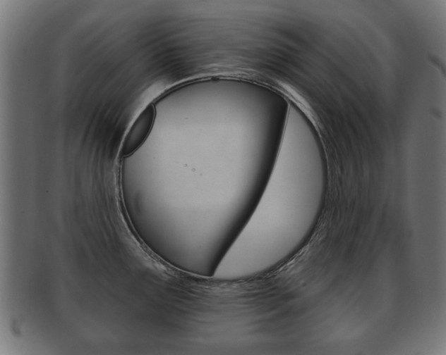 X0000091991291200709061213