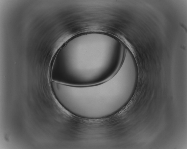 X0000091991293200709061213