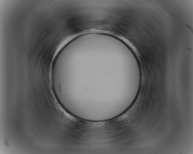 X0000091991294200709061213