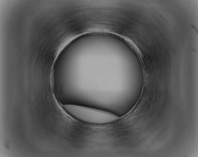 X0000091991295200709061213