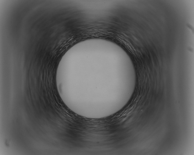 X0000091991298200709061212