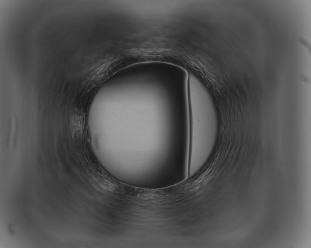 X0000091991300200709061212