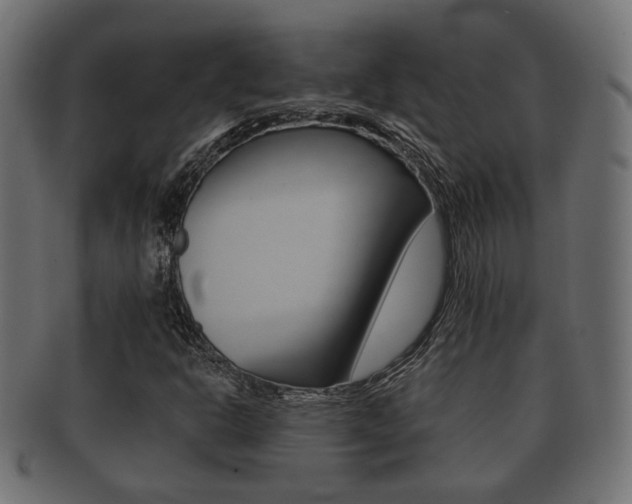 X0000091991302200709061212