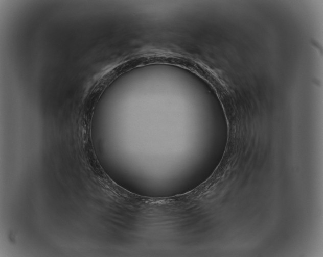 X0000091991303200709061212