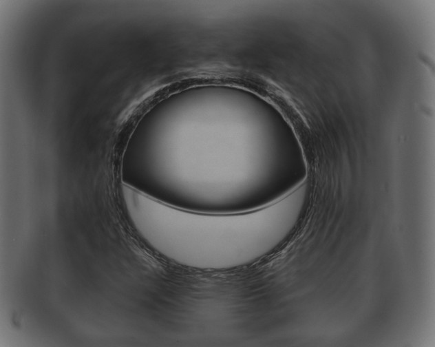 X0000091991304200709061212