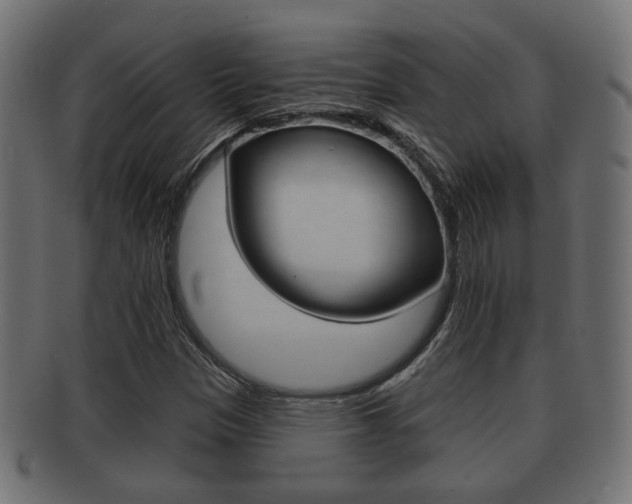 X0000091991305200709061212