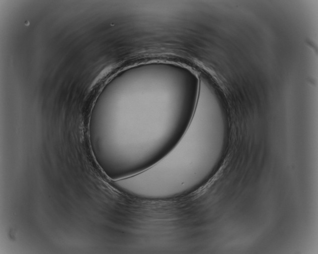 X0000091991306200709061212