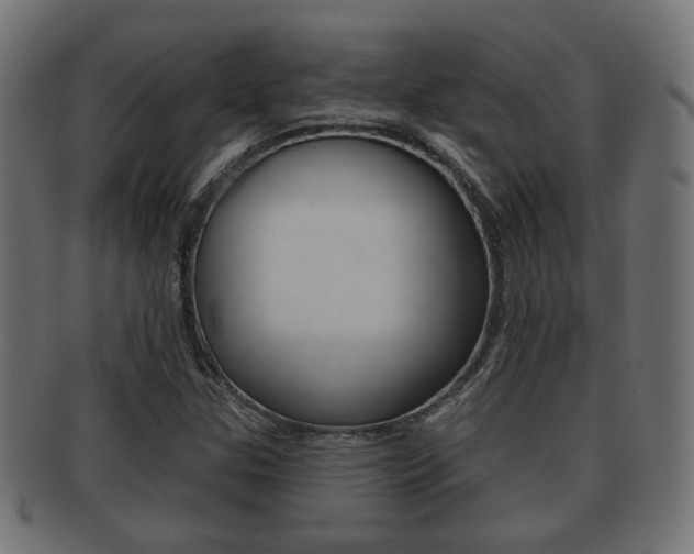 X0000091991307200709061212