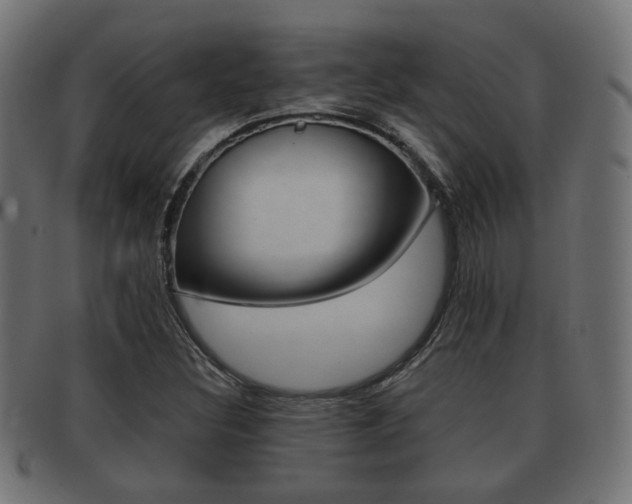 X0000091991308200709061212