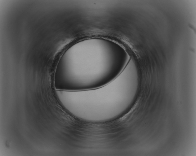 X0000091991309200709061212