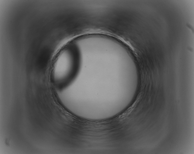 X0000091991311200709061212