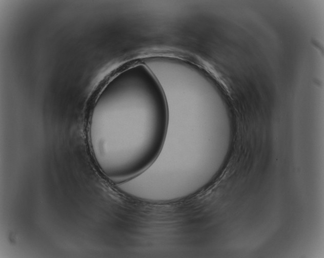 X0000091991312200709061212