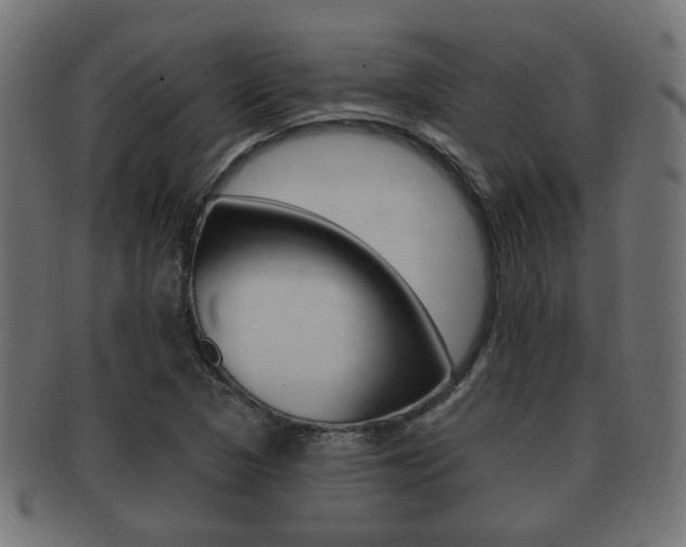 X0000091991313200709061212