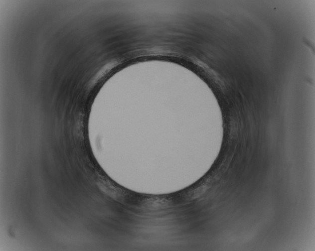 X0000091991314200709061212