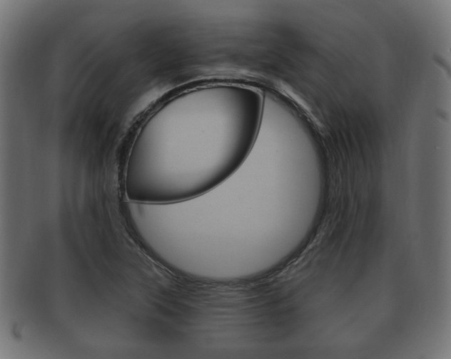 X0000091991315200709061212