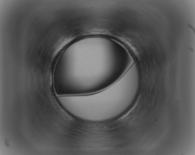 X0000091991317200709061212