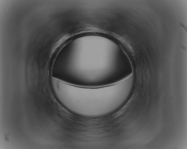 X0000091991318200709061213
