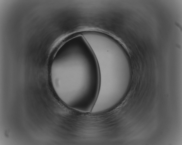 X0000091991319200709061213
