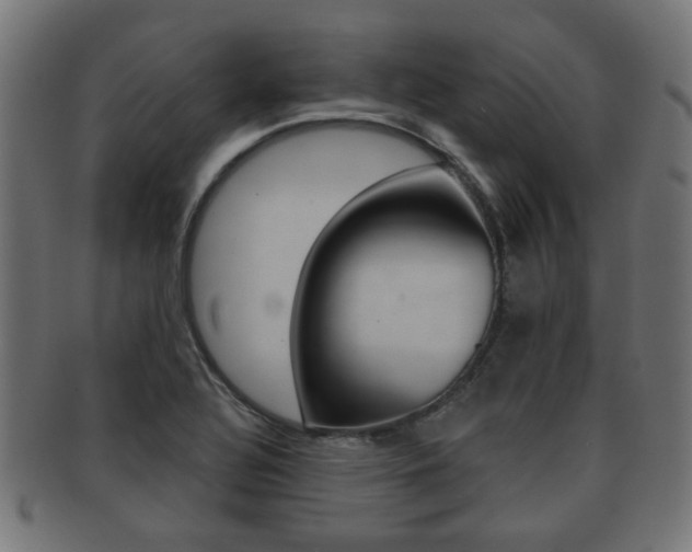 X0000091991320200709061213
