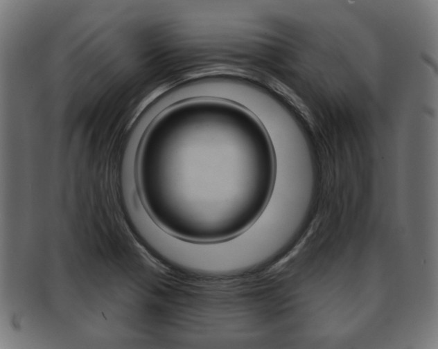 X0000091991321200709061213