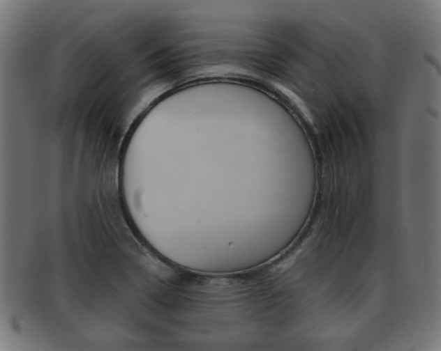 X0000091991322200709061213
