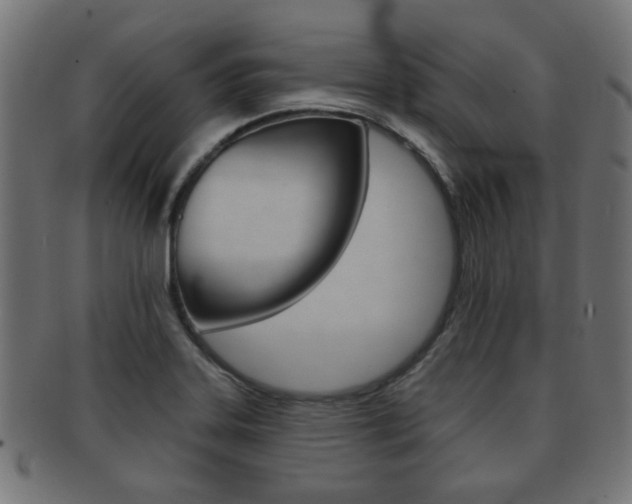X0000091991323200709061213