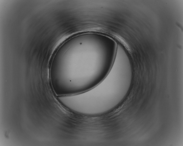 X0000091991324200709061213