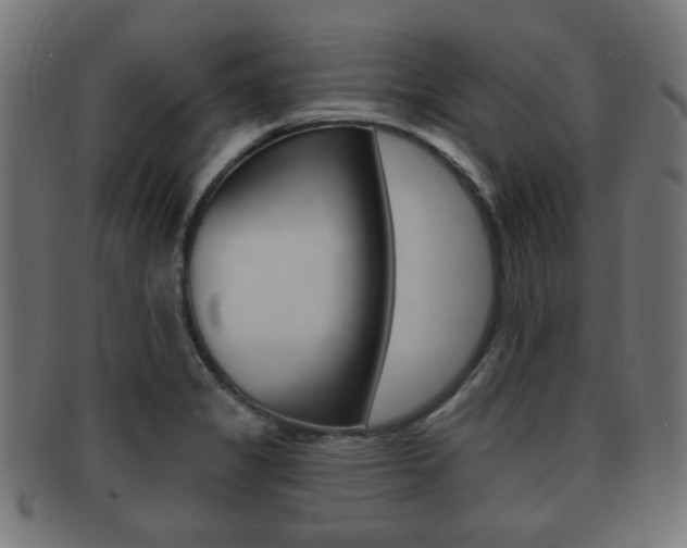 X0000091991325200709061213