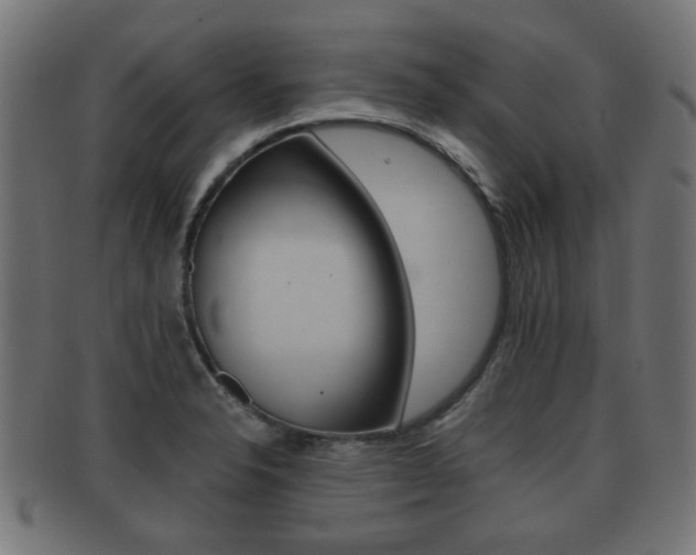 X0000091991326200709061213